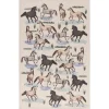 All The Pretty Horses Printed Dishtowel