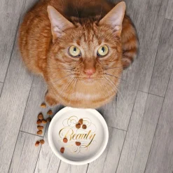 Beauty Queen Ceramic Mug & Cat Bowl Set