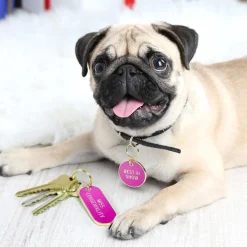 Best In Show Key Chain & Dog Tag Set