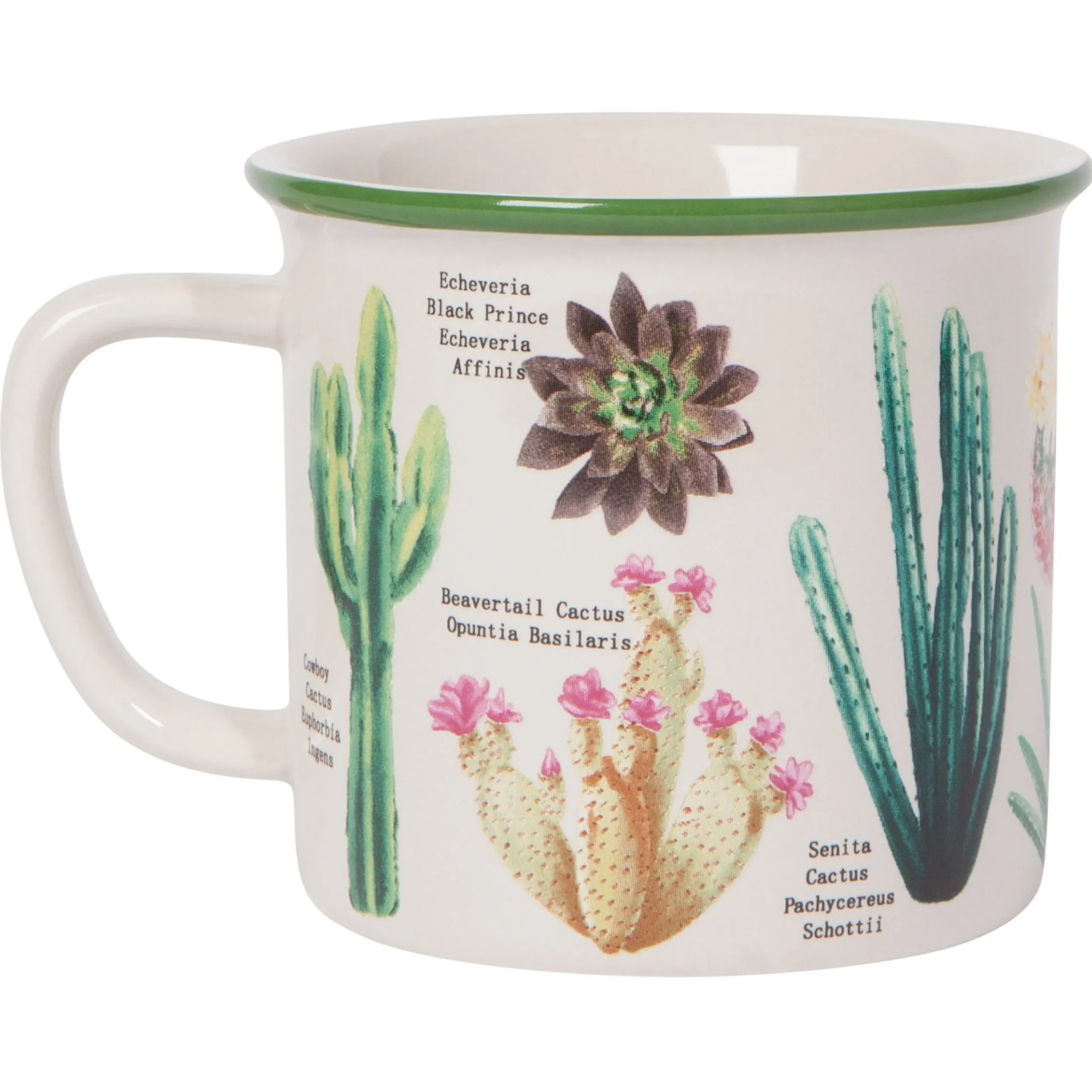 Botanical Cacti Heritage Mug