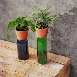 Bottle Planter