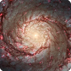 Celestial Coasters