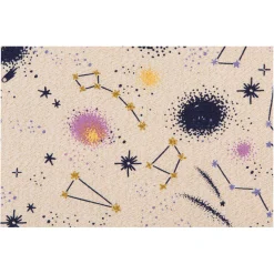 Deco Shine On Dish Towel