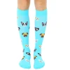 Dog Compression Socks