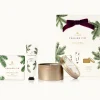 Frasier Fir Gift Set