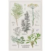 Garden Herb Tea Towel