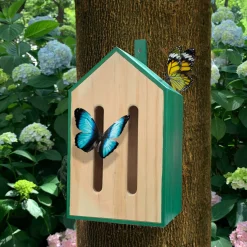 Little Butterfly House