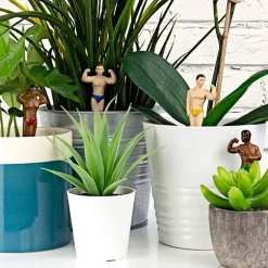 Mini Plant Pot Hunks