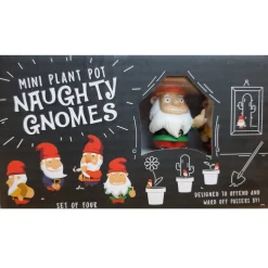 Mini Plant Pot Naughty Gnomes