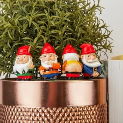 Mini Plant Pot Naughty Gnomes
