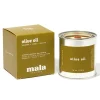Olive Oil Candle