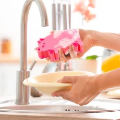 Pigsty Sponges