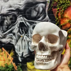 Skull Tidy