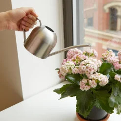 Stainless Steel Watering Can