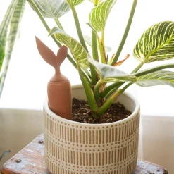 Terracotta Watering Stake