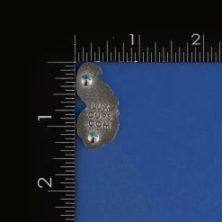 The Raven Pin
